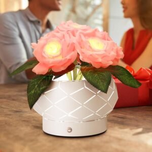 Cordless Small Lamp for Bedroom & Living Room Decor in 2025