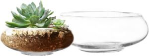 Royal Imports Round Glass Vase Set of 2. Unique flower vases