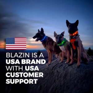 65 Must-Have Amazon Gems Selling Out Quick in 2025 – Truly Unique! 12 Blazin' Safety LED Dog Leash - USB Rechargeable Flashing Light, 6 Ft, Water Resistant – Avoid Danger – Pink