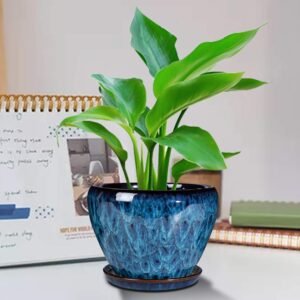 Ceramic Modern Glaze Succulent Planter