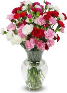 Rainbow Mini Carnations (Glass Vase Included)