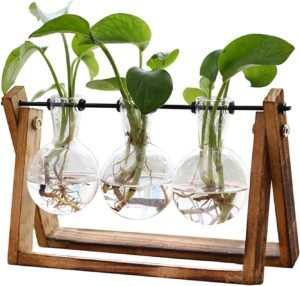 XXXFLOWER Plant Terrarium with Wooden Stand. Unique flower vases